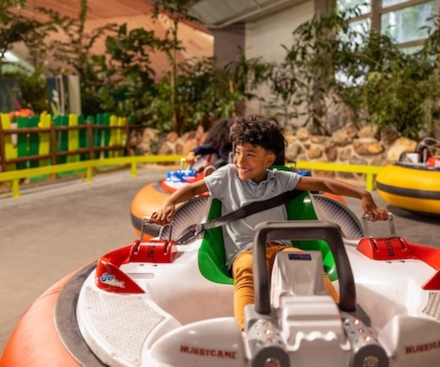 Bumper Cars